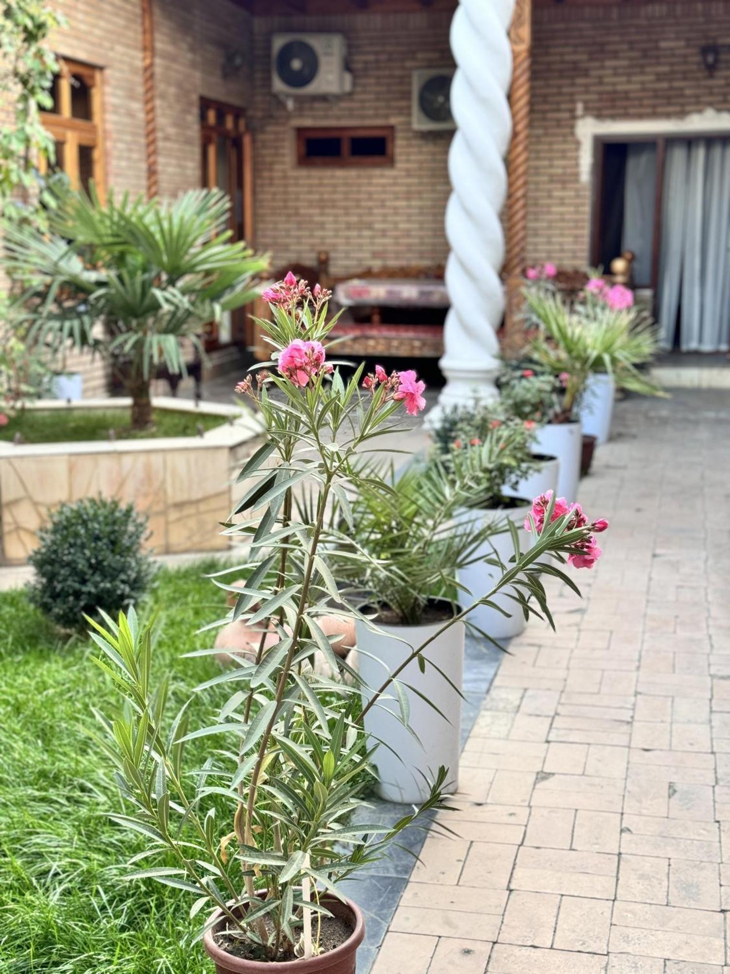 Trip.Le Guest House Самарканд Экстерьер фото